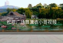 松原广场舞黑衣小哥视频