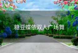 糖豆蝶依双人广场舞