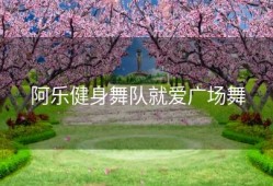 阿乐健身舞队就爱广场舞