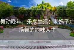 舞动晚年，乐享生活：老妈子广场舞的韵味人生