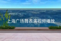 上海广场舞表演视频播放