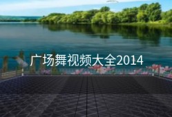 广场舞视频大全2014
