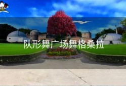 队形舞广场舞格桑拉