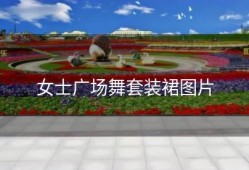 女士广场舞套装裙图片