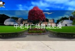 中老年广场舞减肥操