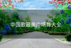 中国歌最美广场舞大全
