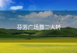 芬芳广场舞二人转