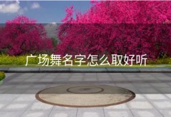 广场舞名字怎么取好听