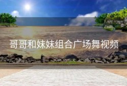 哥哥和妹妹组合广场舞视频