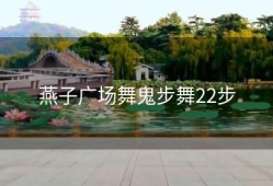 燕子广场舞鬼步舞22步