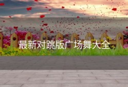 最新对跳版广场舞大全