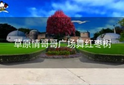 草原情哥哥广场舞红枣树