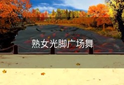 熟女光脚广场舞