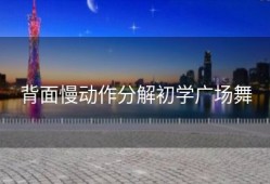 背面慢动作分解初学广场舞