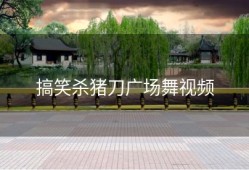 搞笑杀猪刀广场舞视频