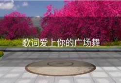 歌词爱上你的广场舞