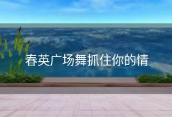 春英广场舞抓住你的情