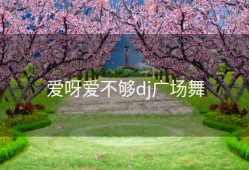 爱呀爱不够dj广场舞