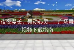 夜夜漫长，舞动心灵——广场舞视频下载指南
