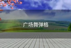 广场舞弹格