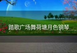 踏歌广场舞荷塘月色钢琴