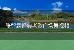 张智霖经典老歌广场舞视频