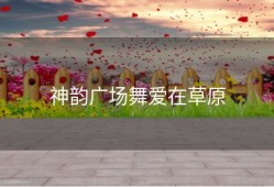 神韵广场舞爱在草原