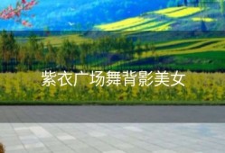 紫衣广场舞背影美女