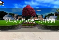 今年流行的欢快广场舞歌曲