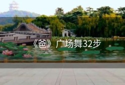 《爸》广场舞32步