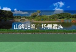 山路18弯广场舞藏族