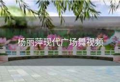 杨丽萍现代广场舞视频