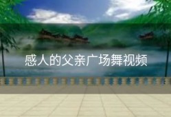 感人的父亲广场舞视频