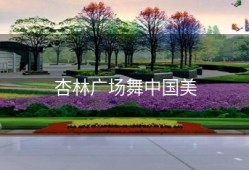 杏林广场舞中国美