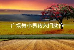 广场舞小男孩入门动作