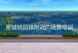 肥城桃园镇附近广场舞培训