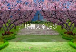 广场舞大全16步
