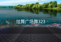 炫舞广场舞323