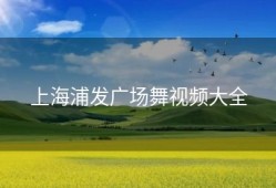 上海浦发广场舞视频大全
