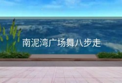 南泥湾广场舞八步走