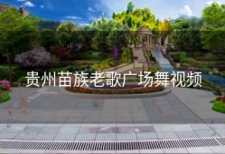 贵州苗族老歌广场舞视频