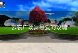 云裳广场舞等爱的玫瑰