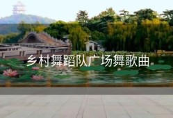 乡村舞蹈队广场舞歌曲
