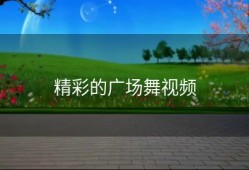 精彩的广场舞视频