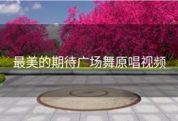 最美的期待广场舞原唱视频