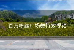 百万粉丝广场舞特效视频