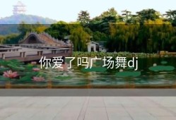 你爱了吗广场舞dj