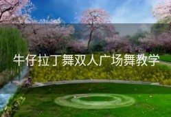 牛仔拉丁舞双人广场舞教学