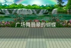 广场舞翡翠的蝴蝶