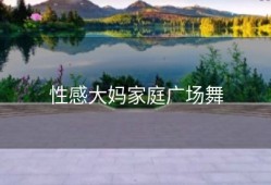 性感大妈家庭广场舞